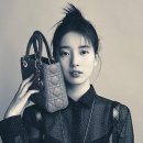 디올이네 이미지