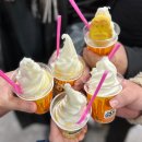 [노량진] 수산시장 추천 킹크랩 금왕수산 12월 가격, 형제상회 대방어, 초장집 수산회관 예약
