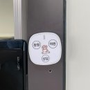 루트231 유치원 & 호텔 | [킨더개든] 시흥 배곧 애견 유치원 내돈내산 후기 (Feat. 최신 요금 반영)