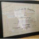 아미고펫 이미지