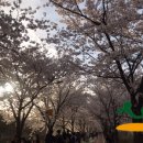 올림픽공원 북1문 옆 공원 이미지