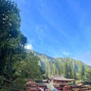 하와이에너지 | 하와이 뵤도인 사원 후기 시간 오픈런 추천 물고기밥 이렇게 비싸다고