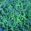 안순네밥집 이미지