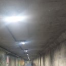 퇴계천길 이미지