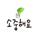 샐리네 살롱 이미지