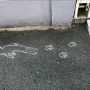 배고팡 - 동대문구 | 배고팡