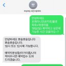 뽀송뽀송 애견미용 이미지