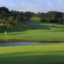 파란골프 이미지