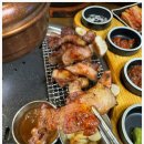 돼지한판 이미지