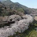 화개장터 주차장 이미지