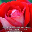 모란 이미지