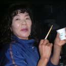 상록수화원 이미지