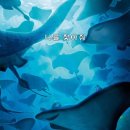 도리김밥 이미지