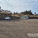 자연-꽃 | * 1월 제주도여행, 동백꽃명소 무료입장 ::자연in:: 방문 후기 -