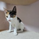 최정욱내과의원 이미지