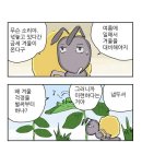 개미와 베짱이 이미지