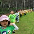 정금어린이집 이미지