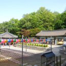 @ 서울 강서구의 지붕을 거닐다. 개화산 나들이 ~~~ (능말 은행나무, 풍산심씨문정공파 묘역, 약사사와 석불입상) 이미지