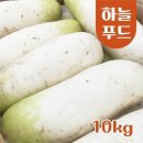 무 이미지