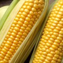 구룡농장 이미지