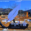 유정이야기숲 티스토리