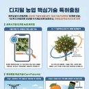 제주감귤농업