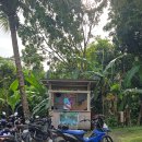 지M Tourist Hostel | 보홀 육상투어 대신 폭포투어 어때요? 잉쿰한(Ingkumhan), 댐아간(Dam-agan) 셀프 스쿠어 여행