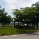 대보1리 마을회관 네이버블로그
