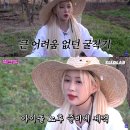 다영농장 이미지