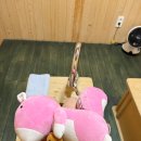 따뜻한손안마원 이미지