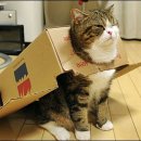 그루밍박스 이미지