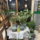 따봉식당 | [맛집#28]익산 마동 따봉식당