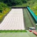 사계절썰매장 이미지