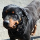 견학정미소 이미지