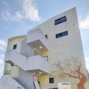 제주숙소 말레콘 | 제주 월정리 숙소 구좌 감성 숙소 제주 동쪽 게하 가성비 바다뷰 숙소 제주말레콘