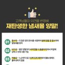 몰365 | 발땀 많은 남편이 정착한 발냄새 양말, 냄새몰 양말 솔직후기