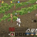 혈도농장 이미지