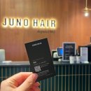 채리스튜디오 이미지