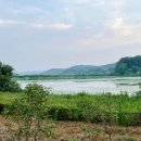 더 레이크 서지 이미지