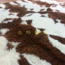 수선과 세탁 이미지