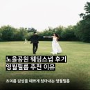 주식회사 스튜디오그레인풀 | 노을공원 웨딩스냅 필름감성의 영월필름 초여름 촬영후기