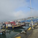 녹동구항 음식특화거리 이미지