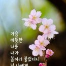 꽃길 이미지