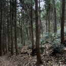 서호동-35 이미지