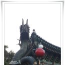 기장짬뽕 이미지