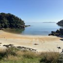 North West Circuit Stewart Island/Rakiura(4) 이미지