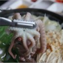 목포낙지 이미지