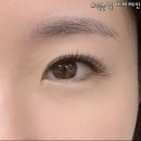 바비제인