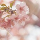 (주)다조에프앤에스