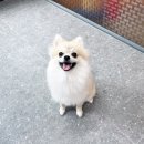 나리 유치원 이미지